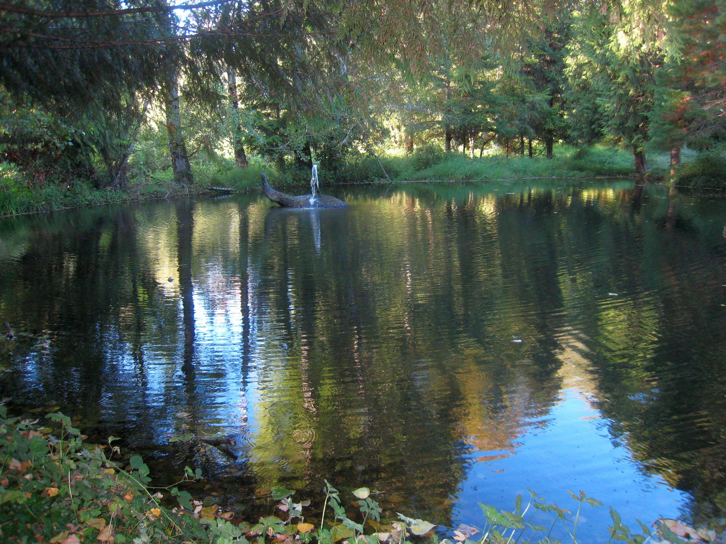 Property Photo: Home and acreage 38808 NE Washougal River Rd  WA 98671 