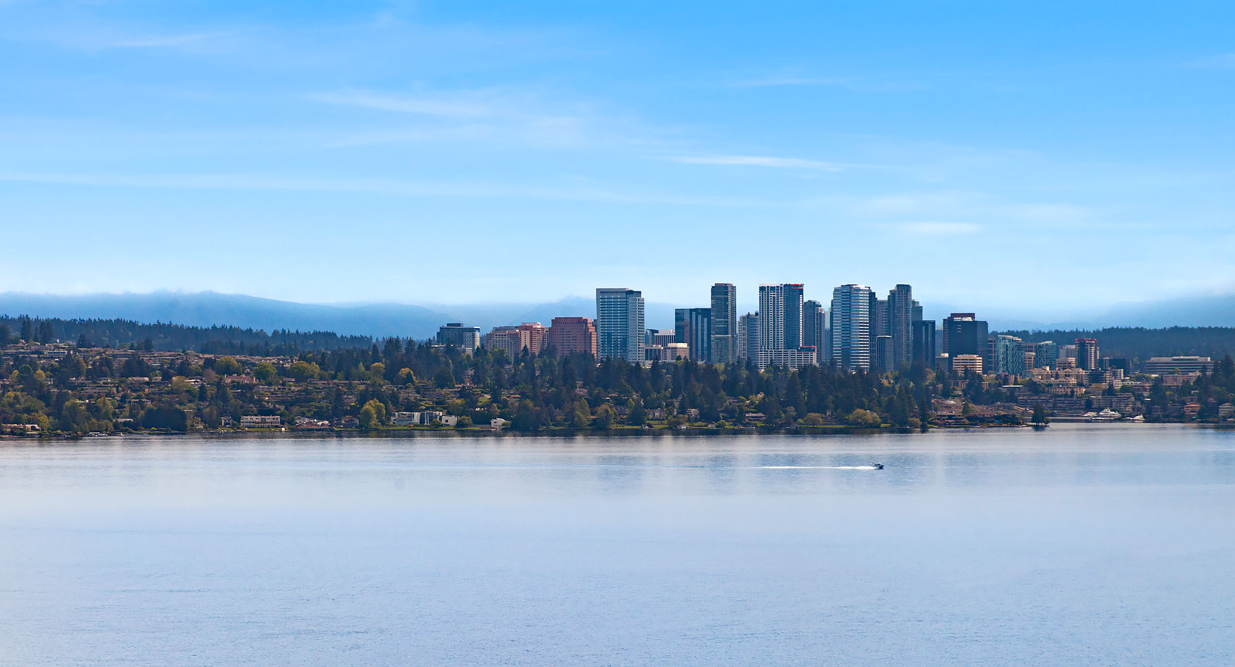 Property Photo: View from Home 3224 S Lane St WA 98144