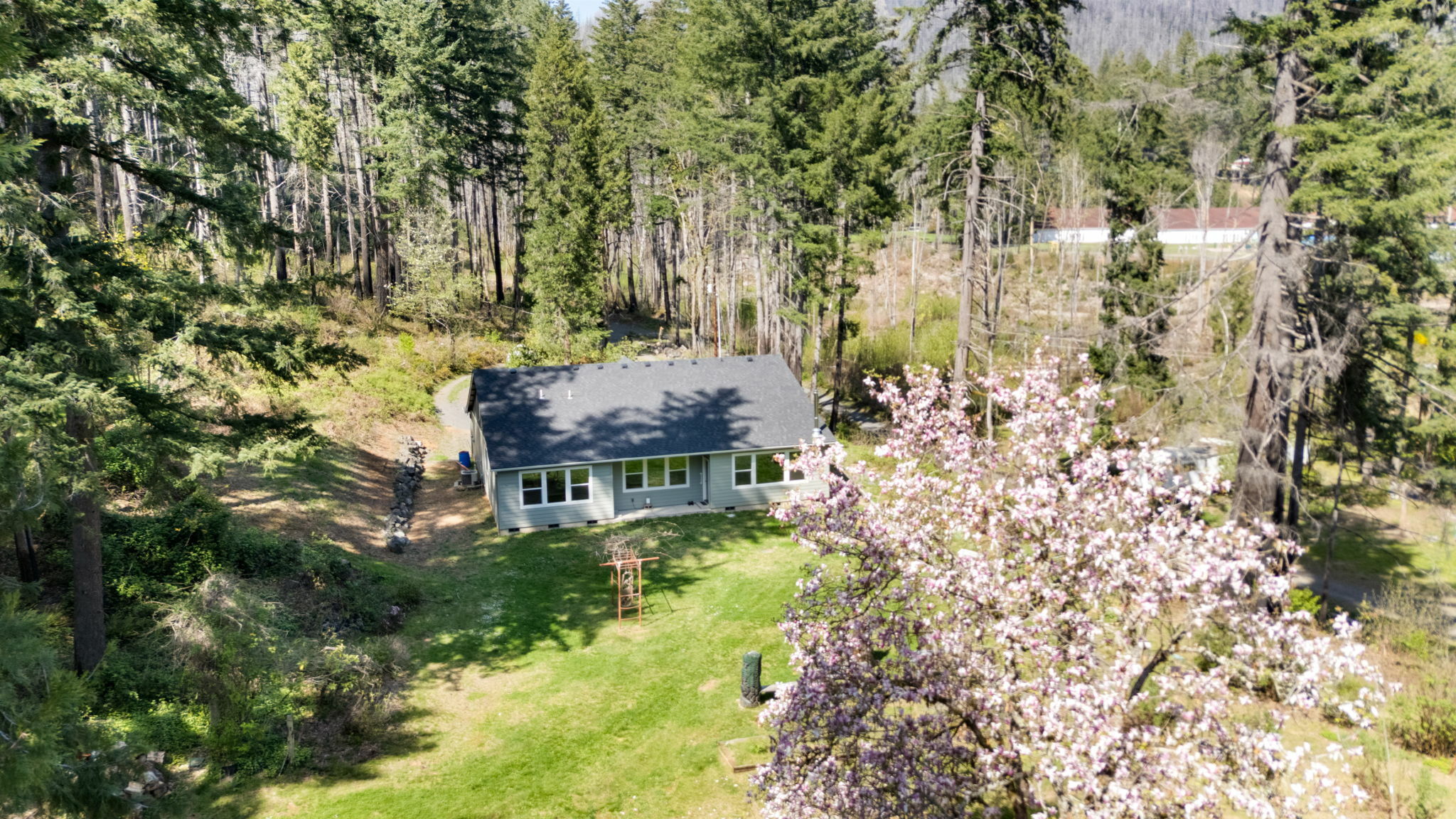 Property Photo: 51013 McKenzie Hwy OR 97488