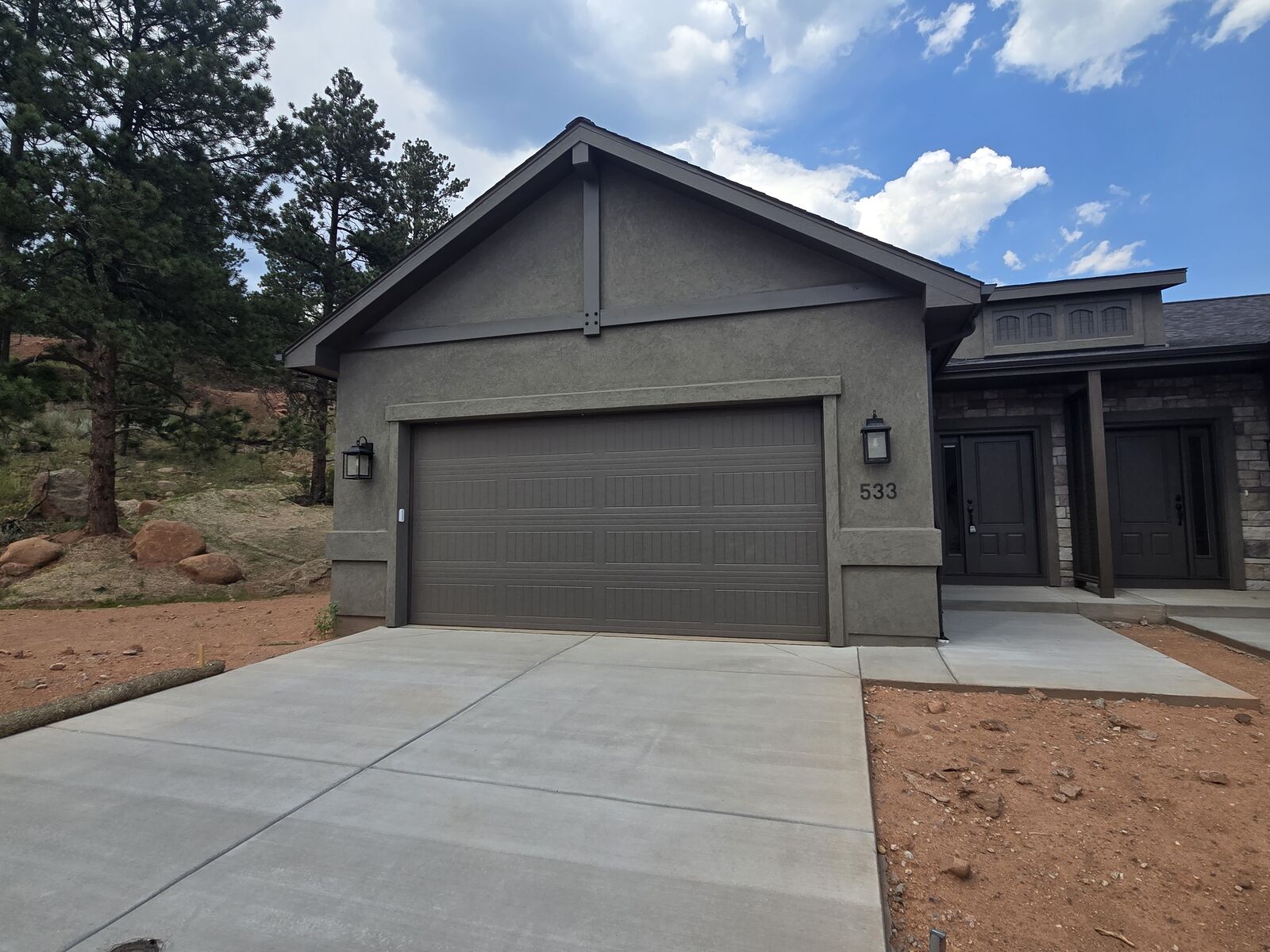 Property Photo:  533 Brecken Ct  CO 80863 