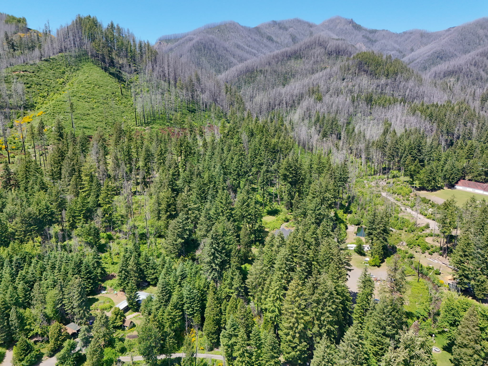 Property Photo: 51013 McKenzie Hwy OR 97488
