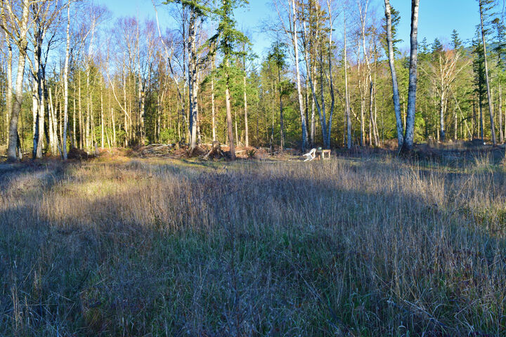 Property Photo: Property Views 3805 South Pass Rd WA 98247
