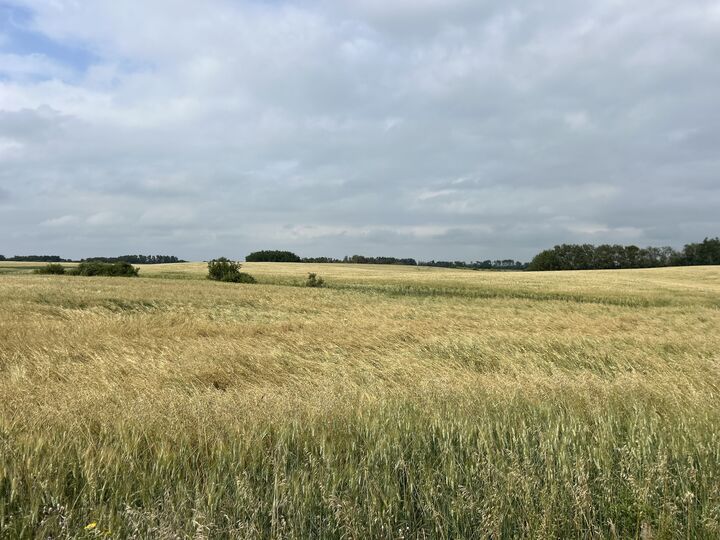 Property Photo:  East 1/2 Of SW 32-14-17  MB R0J 1E0 