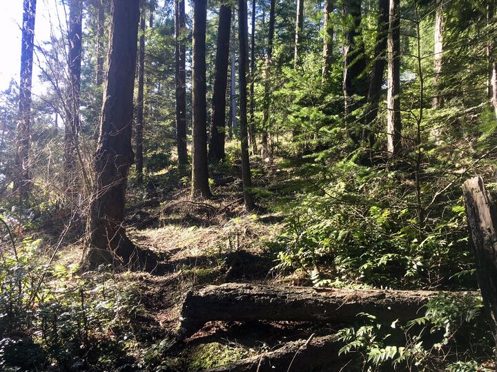 47 Decatur Shores I  Decatur Island WA 98221 photo